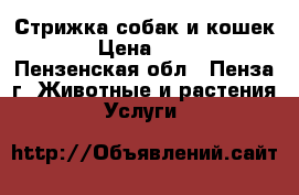 Стрижка собак и кошек. › Цена ­ 500 - Пензенская обл., Пенза г. Животные и растения » Услуги   